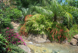 Landscaping to beautify your home